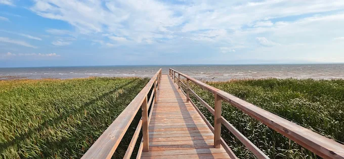 Boardwalk leading across the dunes to the ocean