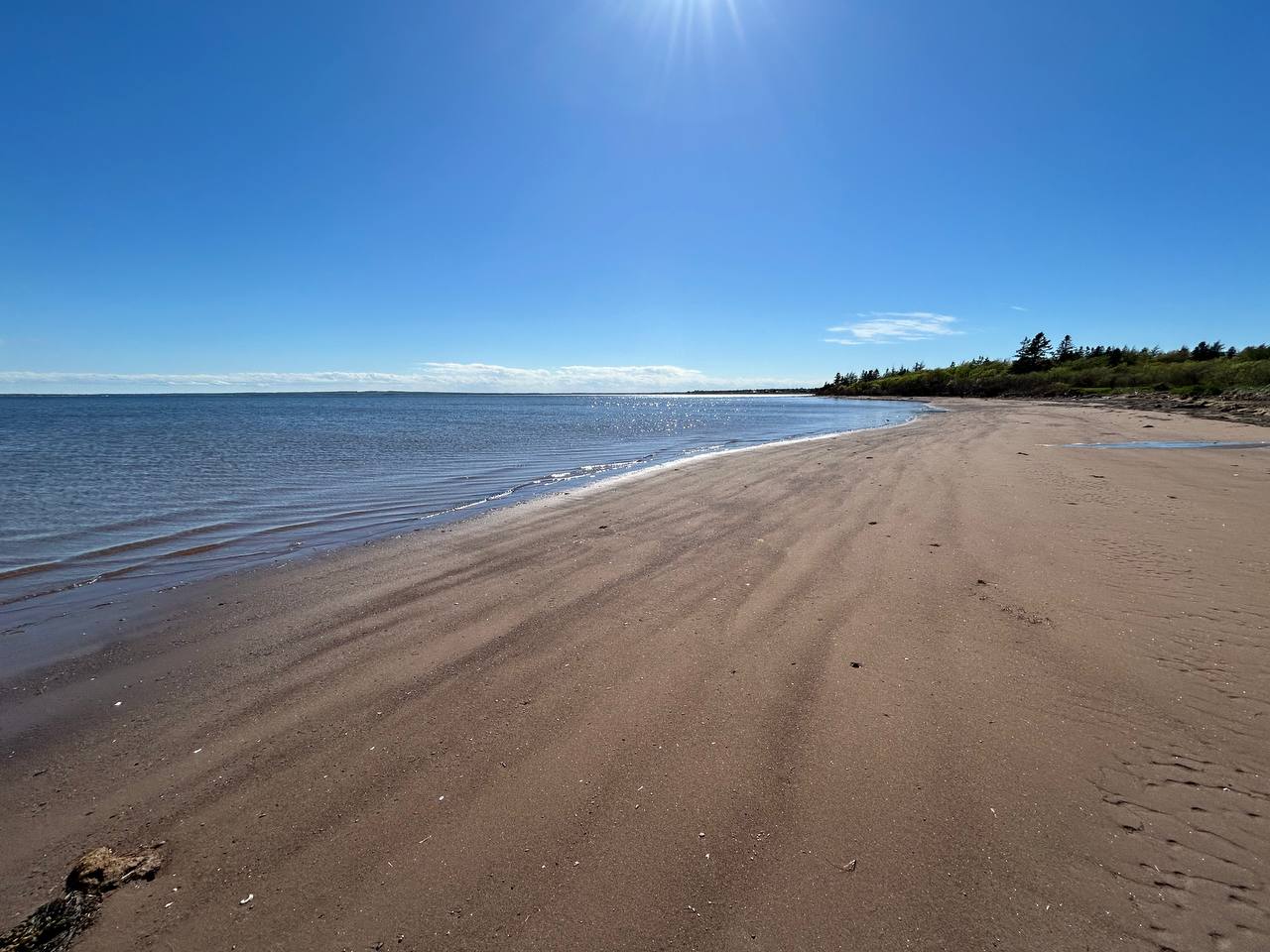 Sunlit sandy beach along the shore