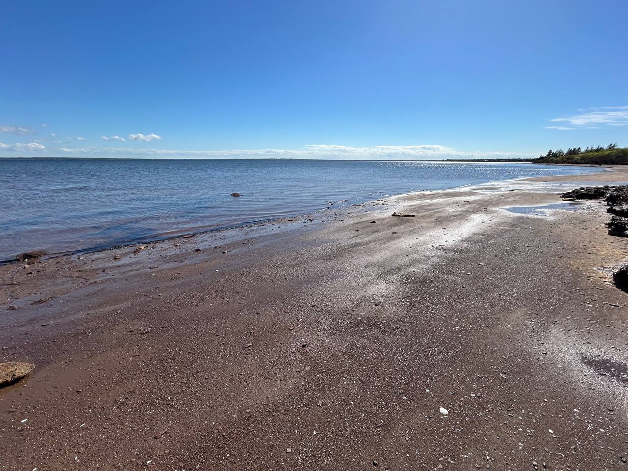 Calm shoreline with red sand and rocks